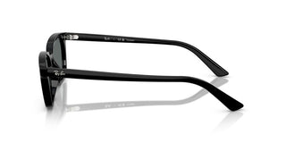 Ray-ban Rb 4456 Unisex Black  Sunglasses