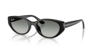 Ray-Ban RB 4457D unisex 0 Sunglasses