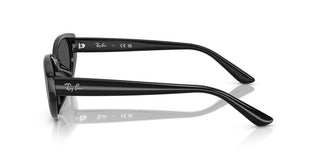 Ray-ban Rb 4457d Unisex Black  Sunglasses