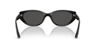 Ray-ban Rb 4457d Unisex Black  Sunglasses