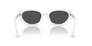 Ray-Ban RB 4457D unisex 0 Sunglasses