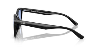 Ray-Ban RB 4461D unisex 0 Sunglasses