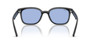 Ray-Ban RB 4461D unisex 0 Sunglasses