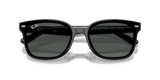 Ray-ban Rb 4461d Unisex Black  Sunglasses