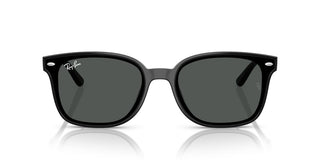Ray-ban Rb 4461d Unisex Black  Sunglasses