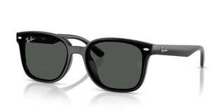 Ray-ban Rb 4461d Unisex Black  Sunglasses