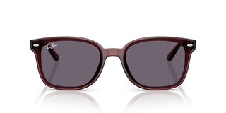 Ray-Ban RB 4461D unisex 0 Sunglasses