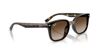 Ray-Ban RB 4461D unisex 0 Sunglasses