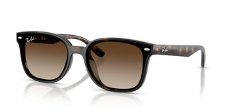 Ray-Ban RB 4461D unisex 0 Sunglasses