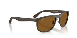 Ray-Ban RB 4468 unisex Brown Geometric Sunglasses