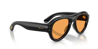 Ray-Ban RB 4925 unisex Black Pilot Sunglasses