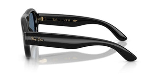 Ray-Ban RB 4925 unisex Black Pilot Sunglasses