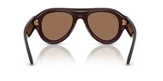 Ray-Ban RB 4925 unisex Brown Pilot Sunglasses