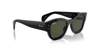 Ray-ban Rb 7681s Unisex Black Cat Eye Sunglasses