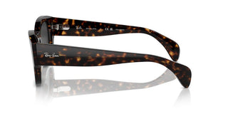 Ray-ban Rb 7681s Unisex Havana Cat Eye Sunglasses