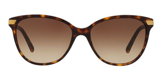 Burberry REGENT COLLECTION BE 4216 women Havana Cat Eye Sunglasses