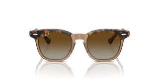 Ray-Ban RJ 9098S JUNIOR children Havana Round Sunglasses