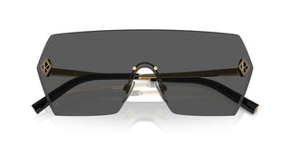 Ralph Lauren Rl 7085 Women Grey Shield Sunglasses