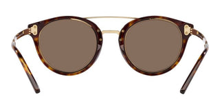 Ralph Lauren RL 8210 men Havana Pilot Sunglasses