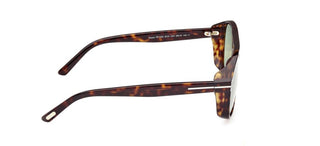 Tom Ford Rosco Ft 1022 Unisex Havana Geometric Sunglasses