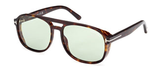 Tom Ford Rosco Ft 1022 Unisex Havana Geometric Sunglasses
