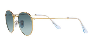 Ray-Ban ROUND METAL RB 3447 men Green Round Sunglasses