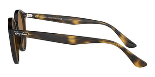 Ray-Ban ROUND RB 2180 men Havana Round Sunglasses