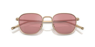 Oliver Peoples RYNN OV 1329ST unisex Gold Squared Sunglasses