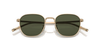 Oliver Peoples RYNN OV 1329ST unisex Gold Squared Sunglasses
