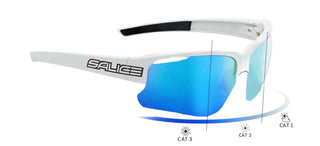 SALICE 017