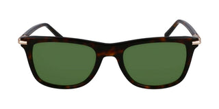 Salvatore Ferragamo Sf2028s Unisex Havana Squared Sunglasses