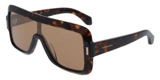 Salvatore Ferragamo Sf2061se Women Havana Shield Sunglasses