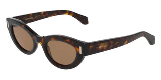 Salvatore Ferragamo Sf2062se Women Havana Cat Eye Sunglasses