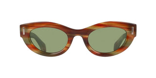 Salvatore Ferragamo Sf2062se Women Brown Cat Eye Sunglasses