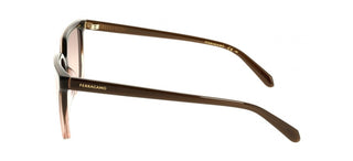 Salvatore Ferragamo SF2102S women Brown Sunglasses