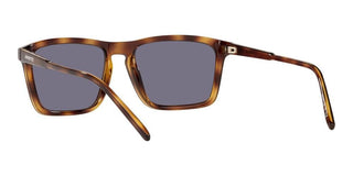 Arnette SHYGUY AN 4283 men Havana Squared Sunglasses