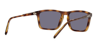 Arnette SHYGUY AN 4283 men Havana Squared Sunglasses