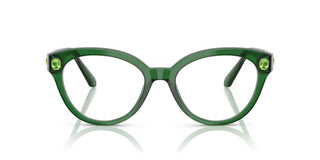 Swarovski SK2037 women Green Round Eyeglasses