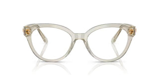 Swarovski SK2037 women Brown Round Eyeglasses