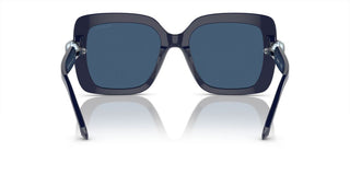 Swarovski SK6001 women 0 Sunglasses