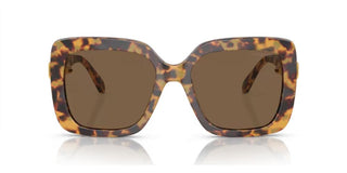 Swarovski Sk6001 Women Havana  Sunglasses