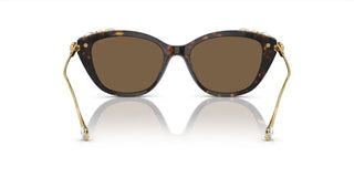 Swarovski SK6010 women Havana Cat Eye Sunglasses
