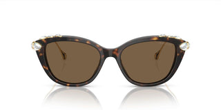 Swarovski SK6010 women Havana Cat Eye Sunglasses
