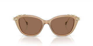 Swarovski SK6010 women Brown Cat Eye Sunglasses