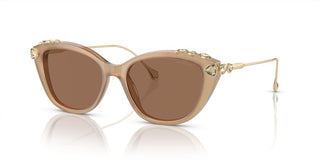 Swarovski SK6010 women Brown Cat Eye Sunglasses