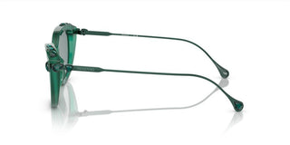 Swarovski SK6010 women Green Cat Eye Sunglasses