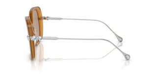 Swarovski Sk6011 Women Brown Butterfly Sunglasses