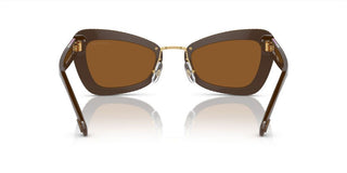 Swarovski SK6012 women Brown Cat Eye Sunglasses