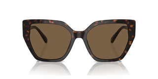 Swarovski Sk6016 Women Havana Butterfly Sunglasses