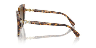 Swarovski Sk6016 Women Havana Butterfly Sunglasses